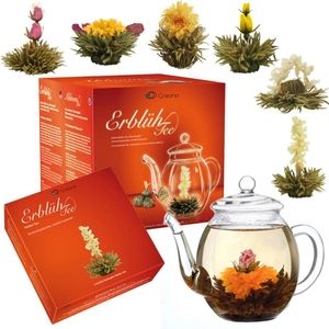 New In Box. Creano Flowering Tea Set